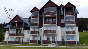 Horní Mísečky - Úžasné apartmány F u sjezdovky Horní Marsov